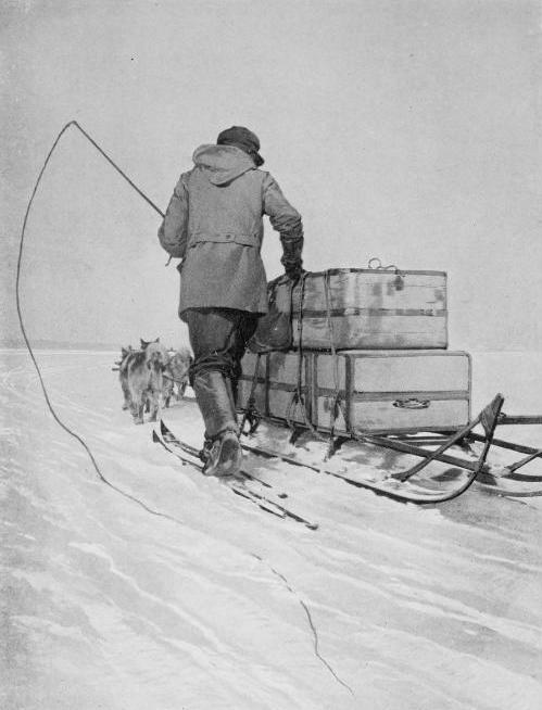 polar transport