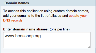 cloudbees console domain name alias